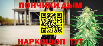 гидропоника Можга
