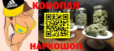 гидропоника Можга