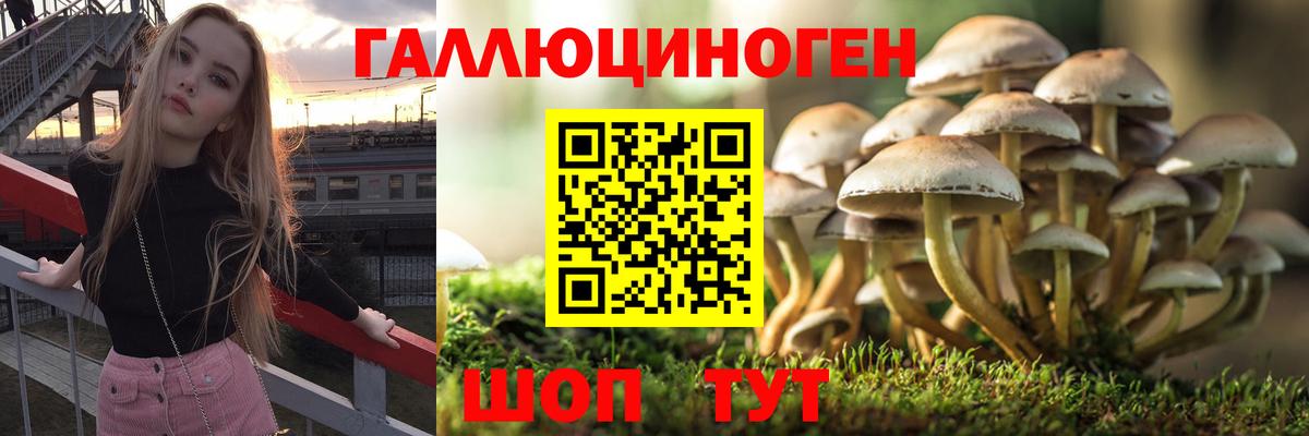 Сертолово  Псилоцибиновые грибы мицелий  Вход с VPN  Галлюциногенные грибы MAGIC MUSHROOMS 